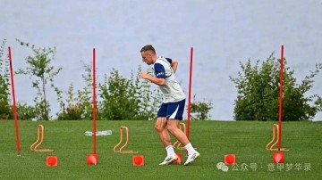 两根老枪回归意甲,佛罗伦萨免签39岁哲科,因莫比莱加盟博洛尼亚